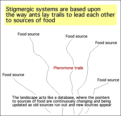 Ant pheromone trails